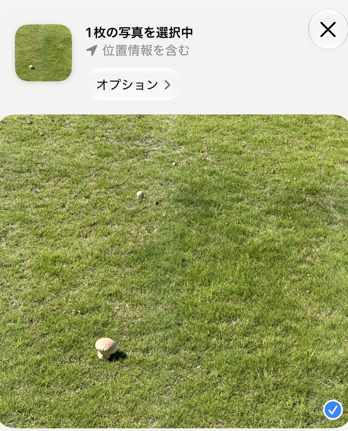 iPhoneの写真アプリの共有画面。「1枚の写真を選択中」の下に「位置情報を含む」と出ている